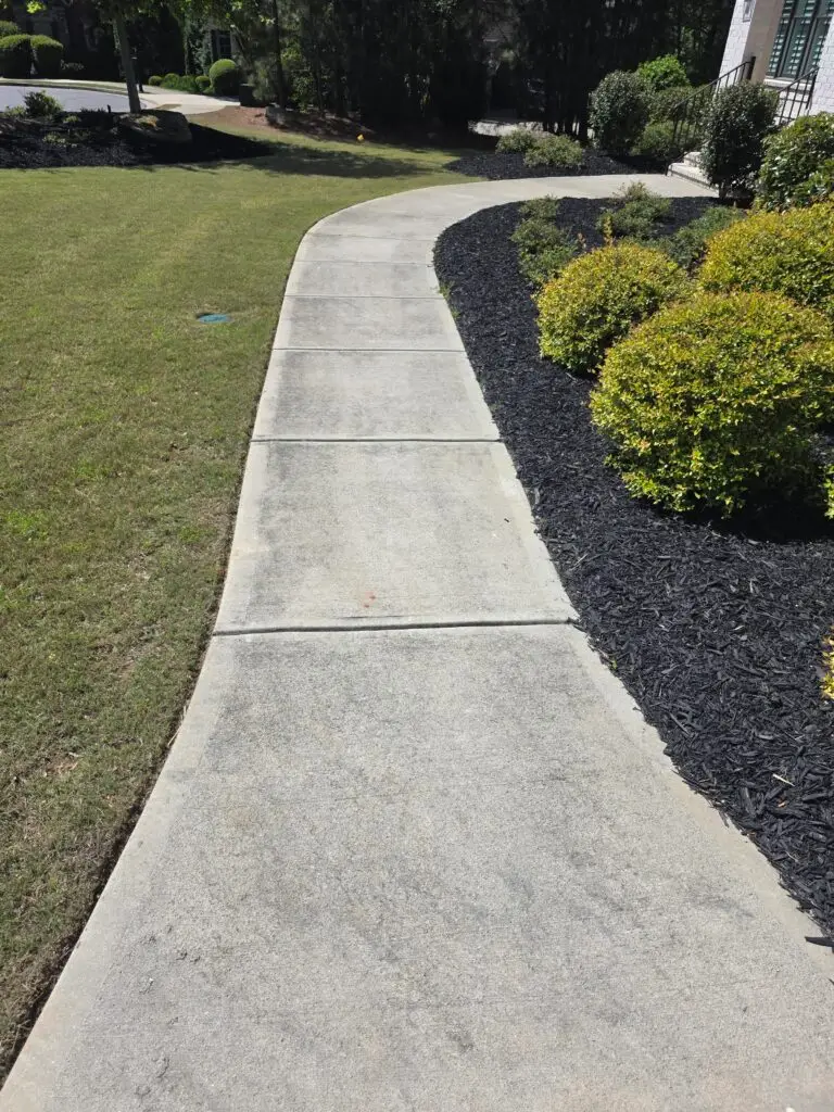 Concrete walkway after pressure washing, with a clean edge against the mulch bed and lawn
